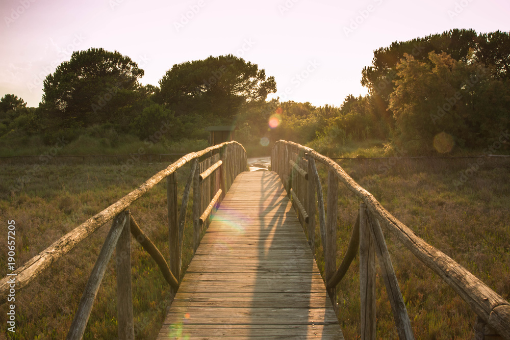 Fototapeta premium Wooden pedestrian bridge pathway at sunset with beautiful golden light With flare. Porto Caleri, Veneto, Italy.
