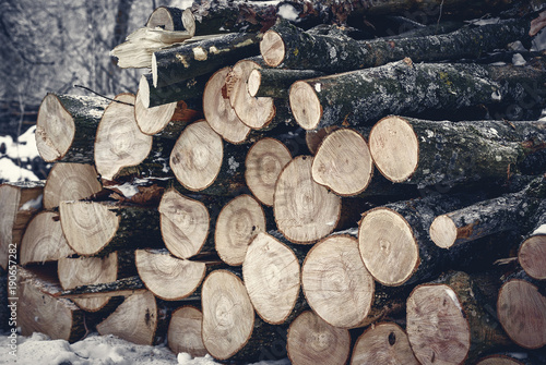 Tree trunks cut off  stacked in a winter forest