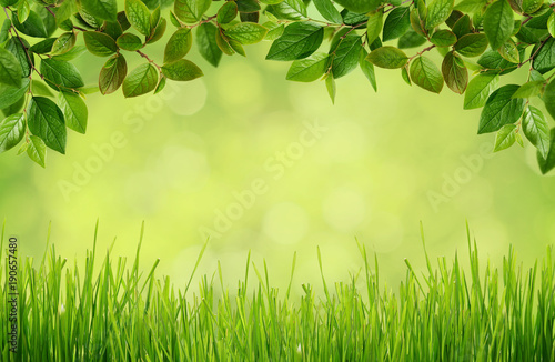 Green background with grass and leaves
