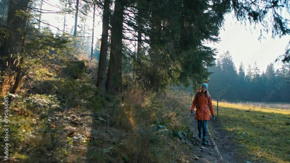 Young Tourist with Backpack is Walking on Beautiful Path in Forest in Sunny Autumn. Very Beautiful Sun Glare Young Tourist with Backpack is Walking on Beautiful Path in Forest in Sunny Autumn. Very Beautiful Sun Glare