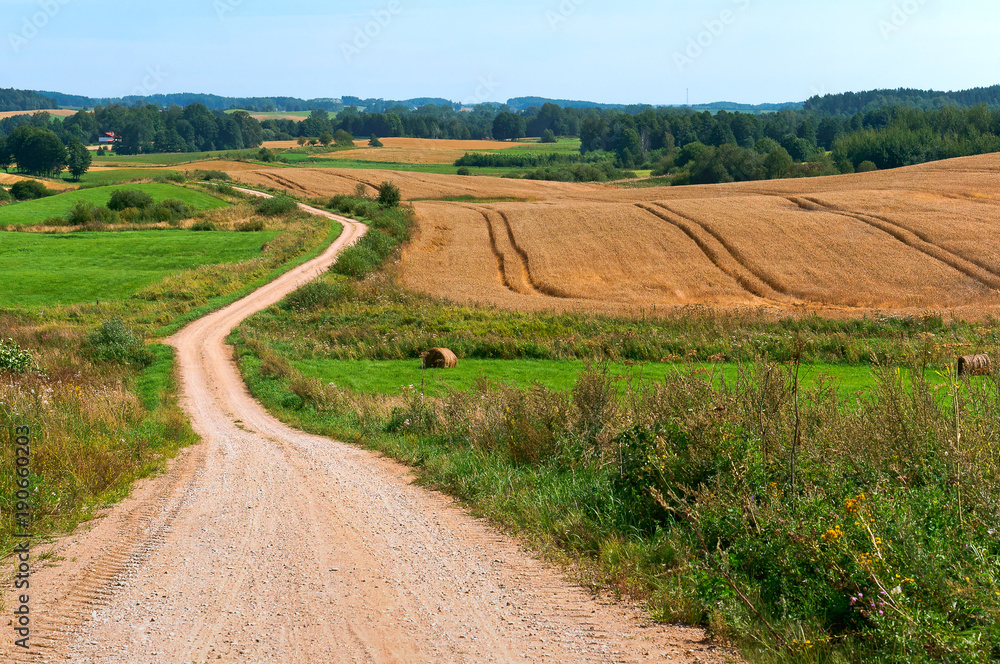Beautiful road in a field. A wide dirt road in a field.