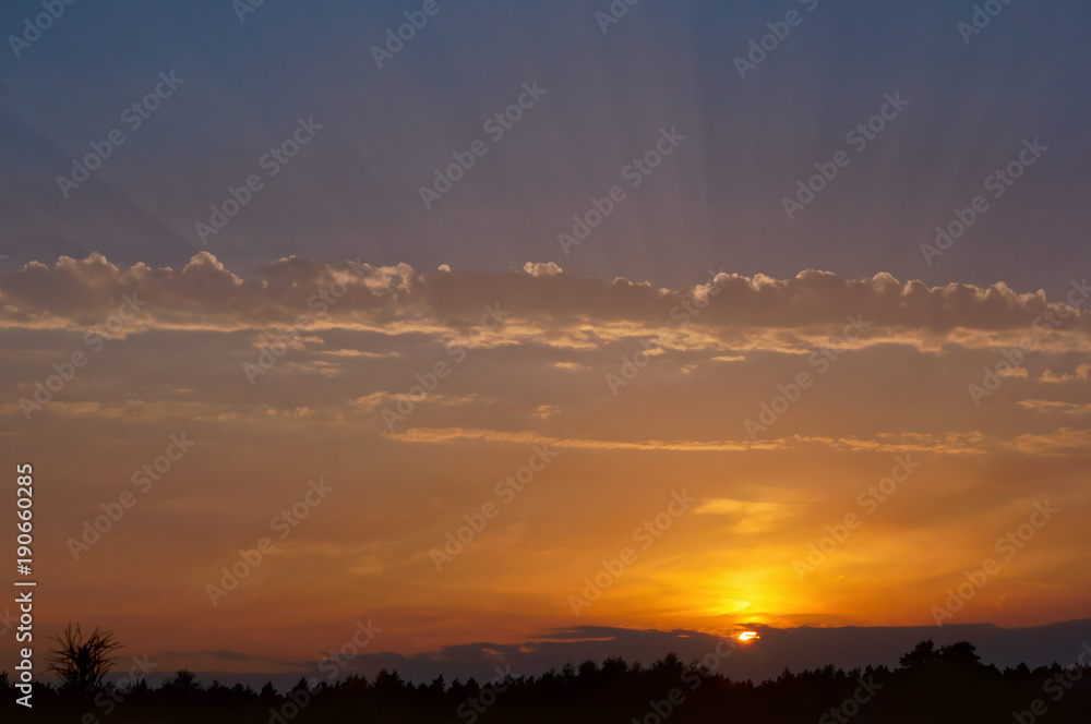 Sunset over the field. Red and purple sunbeams at sunset. The sun is setting over the horizon.