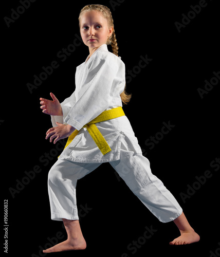 Little girl martial arts fighter