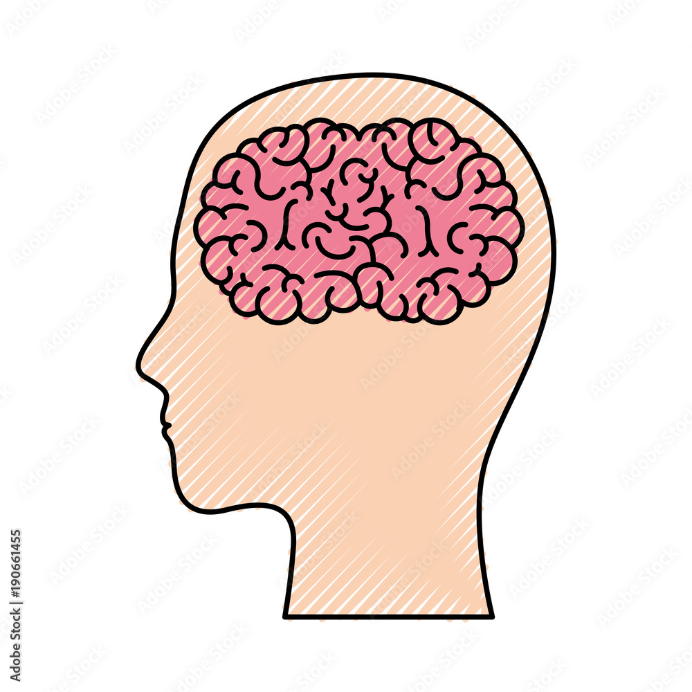human head face brain science mind intelligence vector illustration human head face brain science mind intelligence vector illustration