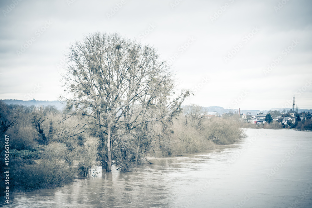 Hochwasser der Mosel in Trier