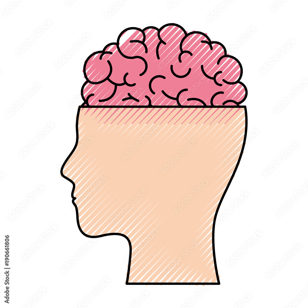 human head face brain science mind intelligence vector illustration human head face brain science mind intelligence vector illustration