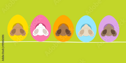 5 Easter Bunnys Hiding In Eggshells Back Green Banner