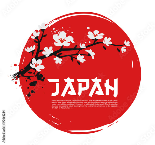 Sakura on red background