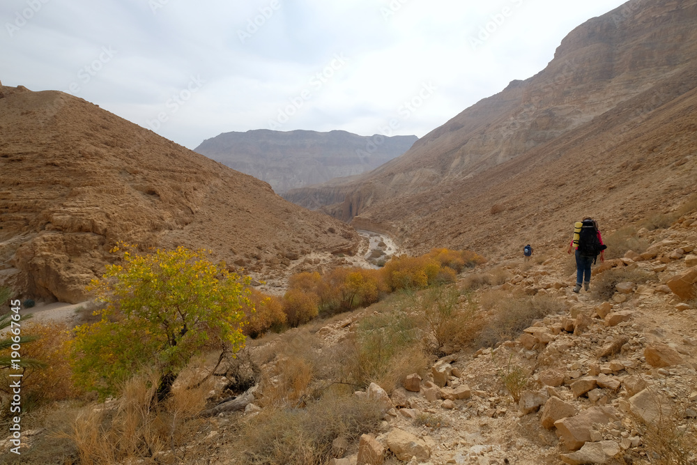 Two hikers traveling in Zeelim gorge, Judea desert in Israel.