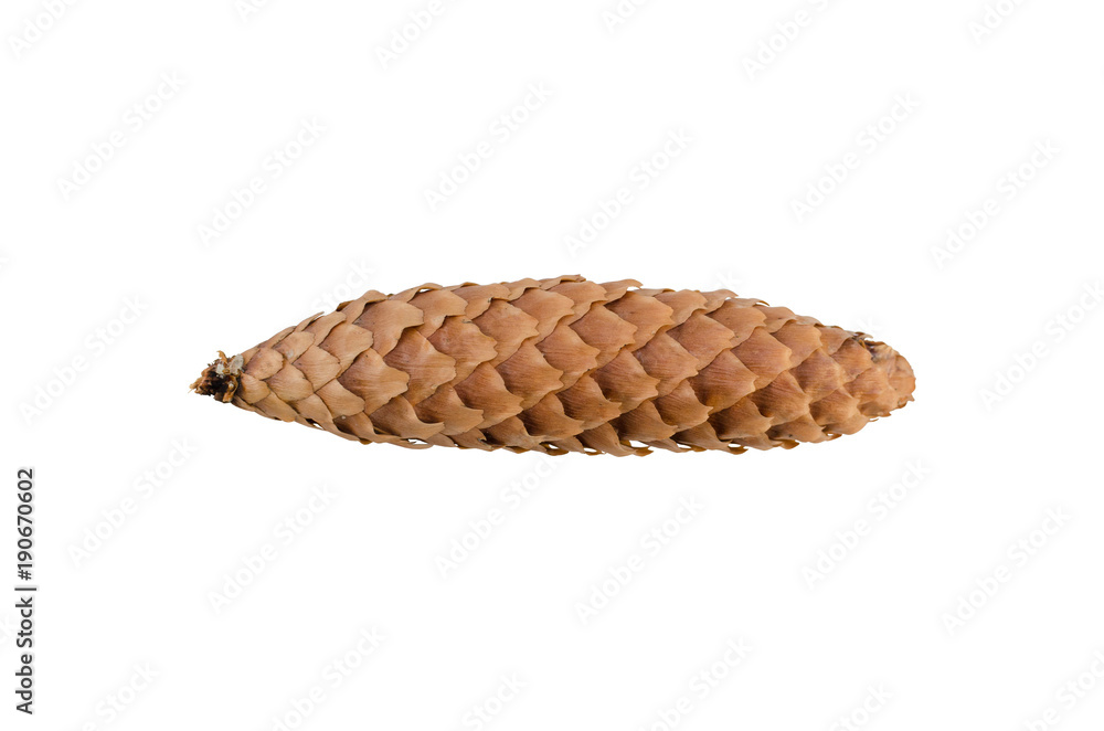 Obraz premium A cone isolated on white background.