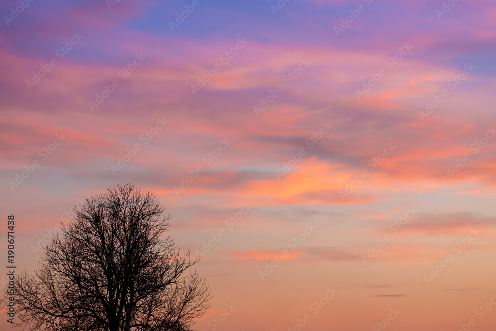 landscape, sunset or sunrise, the sky covered with picturesque clouds