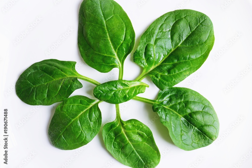 Obraz premium Spinach leaves isolate on white background top view