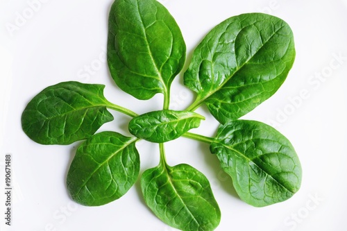 Spinach leaves isolate on white background top view