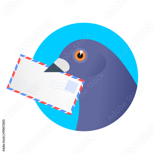 A post pigeon with an envelope in the beak. Flat vector illustration of a homing-pigeon carring avia letter. Receiving a correspondence, postal, bird, dove mail concept isolated on white background.