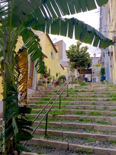 Street in Lisbon in Portugal