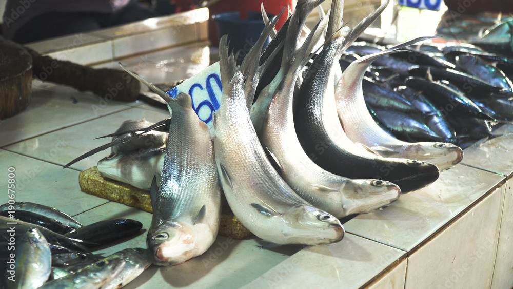 Fresh fish in Asian market. Sale of fresh sea fish in the Asian public