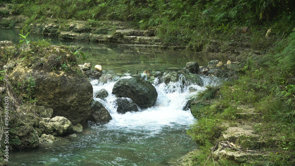 River flows through the rainforest in the jungle. Tropical river, jungle. Tropical Rainforest Landscape. River flows through the rainforest in the jungle. Tropical river, jungle. Tropical Rainforest Landscape.