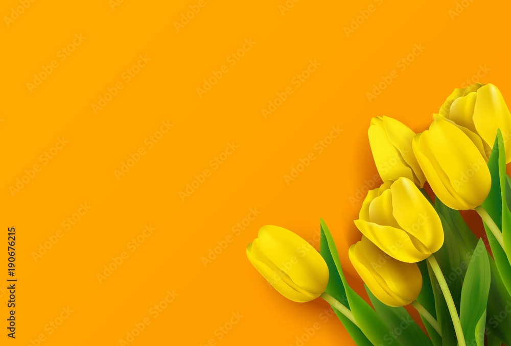 Bunch of spring yellow tulips on orange background. Vector illustration