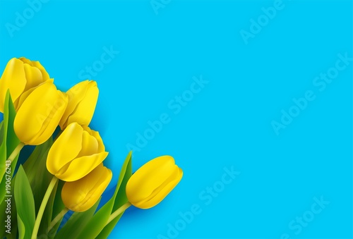 Bunch of spring yellow tulips on blue background. Vector illustration #190676243