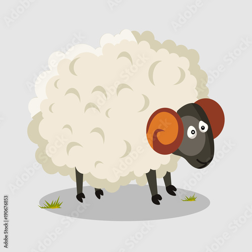 Sheep