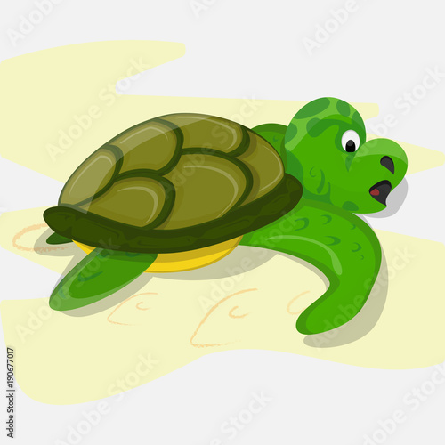 Turtle green