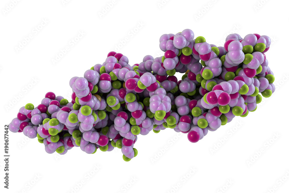 Human chorionic gonadotropin hormone isolated on white background, 3D illustration. A hormone produced by placenta after implantation and is used for pregnancy test Human chorionic gonadotropin hormone isolated on white background, 3D illustration. A hormone produced by placenta after implantation and is used for pregnancy test