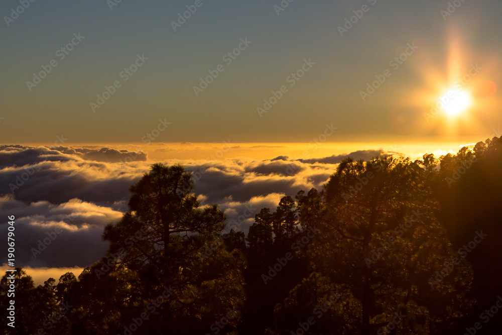 Sunset seen from the forest above clouds