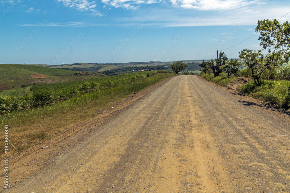 Empty Dirt Road Through Trees and Sugar Cane Plantations