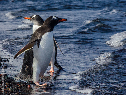 Antartica ou Antartida