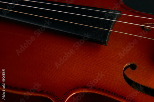 Classical brown violin