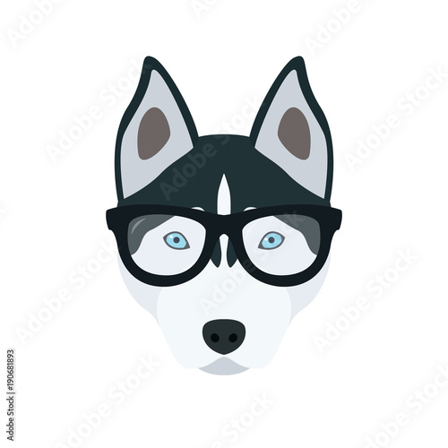 Husky in glasses. Cute dog vector illustration.