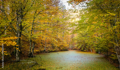 Sazli Lake in Yedigoller National Park, Turkey photo