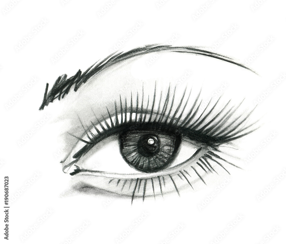 Mysteriously beautiful woman's eye with delicately curved eyelashes and an eyebrow. Graphic drawing with slate pencil. Isolated on white background. Mysteriously beautiful woman's eye with delicately curved eyelashes and an eyebrow. Graphic drawing with slate pencil. Isolated on white background.