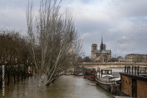 Paris, Crue de la Seine face à la cathédrale notre dame 