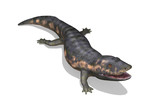 Dendrerpeton Prehistoric Amphibian