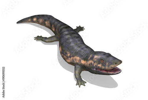 Dendrerpeton Prehistoric Amphibian photo