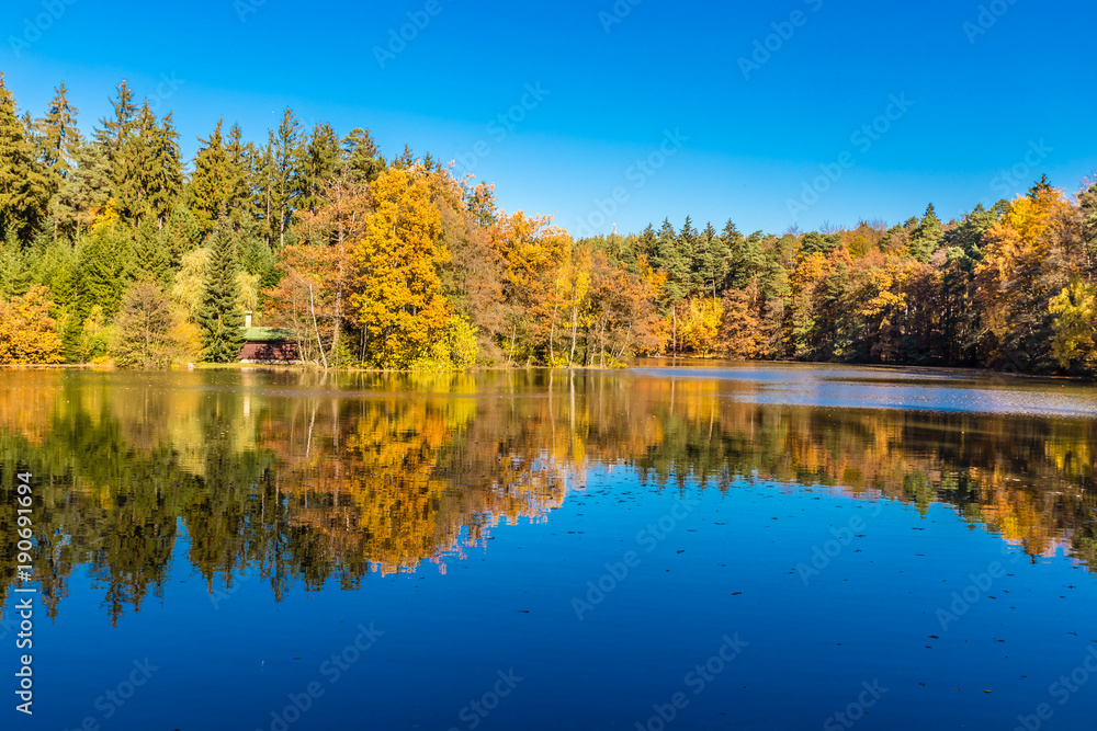 Colorful Autumn In Voderady Beechwood, Czechia Colorful Autumn In Voderady Beechwood, Czechia