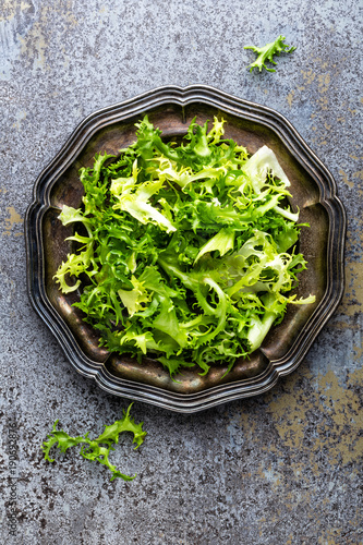 Frize lettuce salad  fresh frisee. Healthy vegetarian food