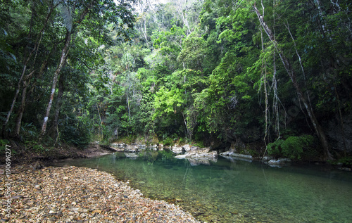 Photo The Bladen River flows through one of the most biodiverse and untouched pieces of land in Central America