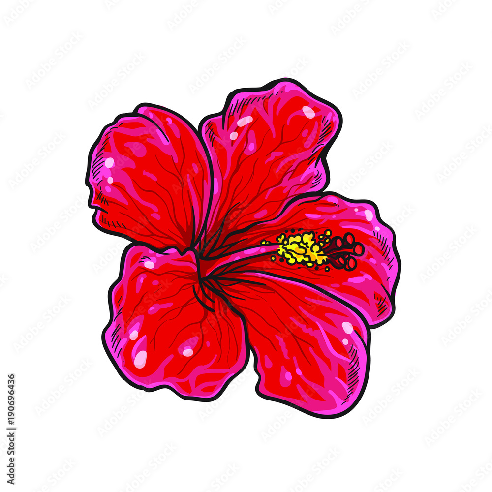 Single Flower Images Drawing With Colour Infoupdate