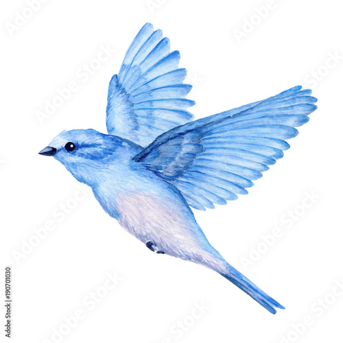 Schilderij op canvas Cute little blue bird