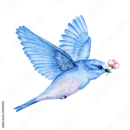 Cute little blue bird. Watercolor illustration. Cute animals and birds. Spring symbol. Happy Easter. Blue luck bird photo