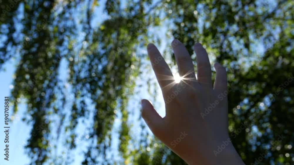 Hand reaching the sun ray with leaf background Hand reaching the sun ray with leaf background