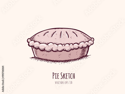 Pie sketch vintage vector sketch illustration