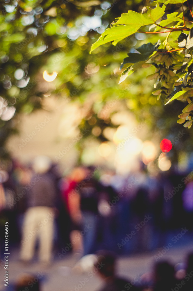 Blätter im Abendlicht vor einer Open Air Bühne mit bunten Scheinwerfern