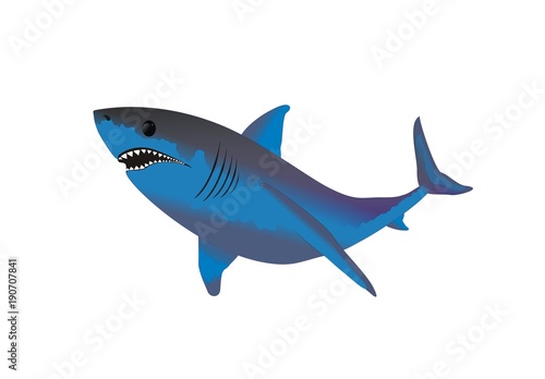 Blue shark