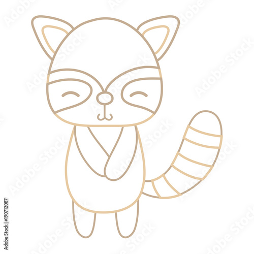 color line cute and shy raccoon wild animal