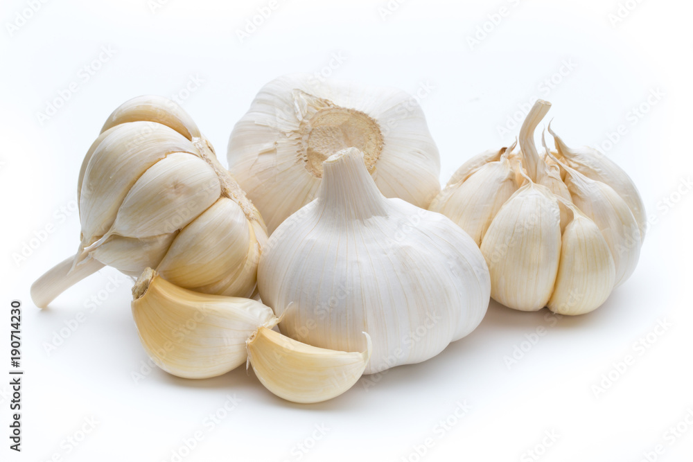 Garlic isolated on the white background.