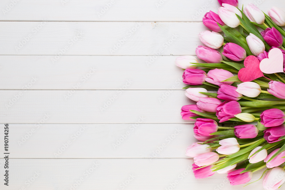 Fototapeta premium Różowy tulipan na białym tle. Wielkanocny tło.