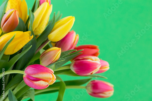 A colorful spring greetings card with tulips for Easter, Mother's Day.